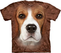 Beagle Face available now at Novelty EveryWear!
